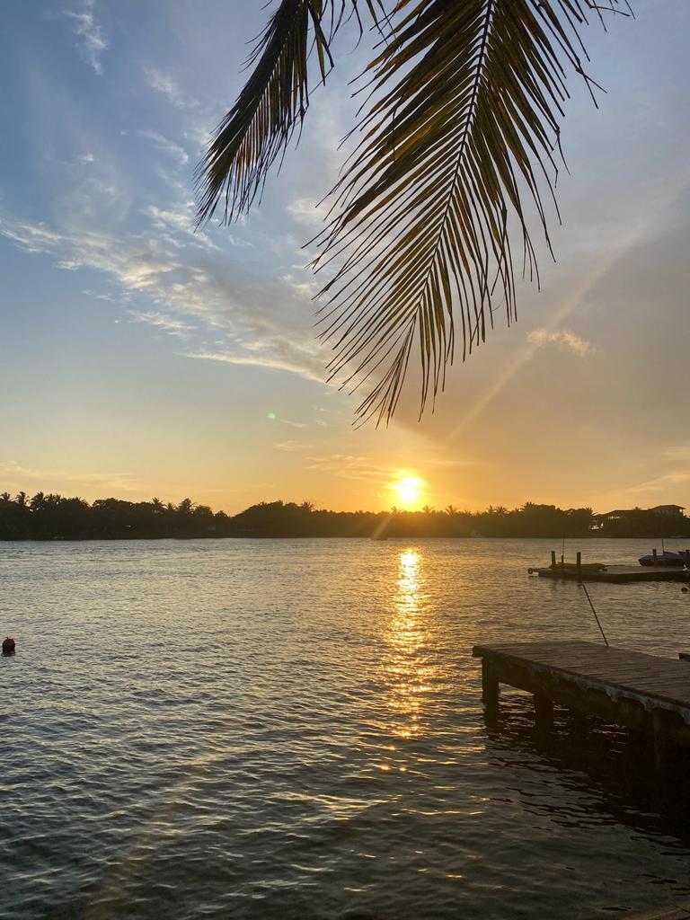 Elephants, tea hills and coastal fort views from the 10-day adventure & wildlife Sri Lanka tour