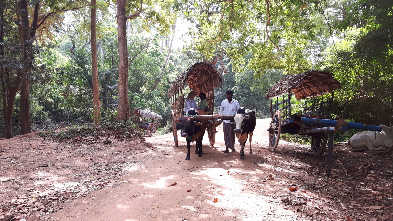 Yala National Park