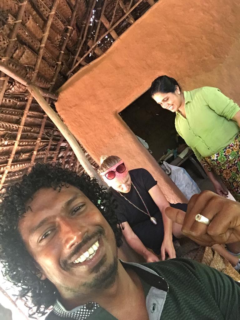 Highlights of the 7-day Sri Lanka cultural and nature tour: heritage sites, tea country, wildlife, and beaches