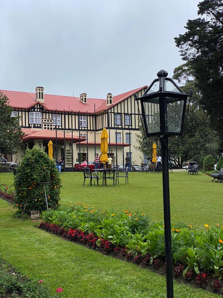 Leopard safari landscape Yala