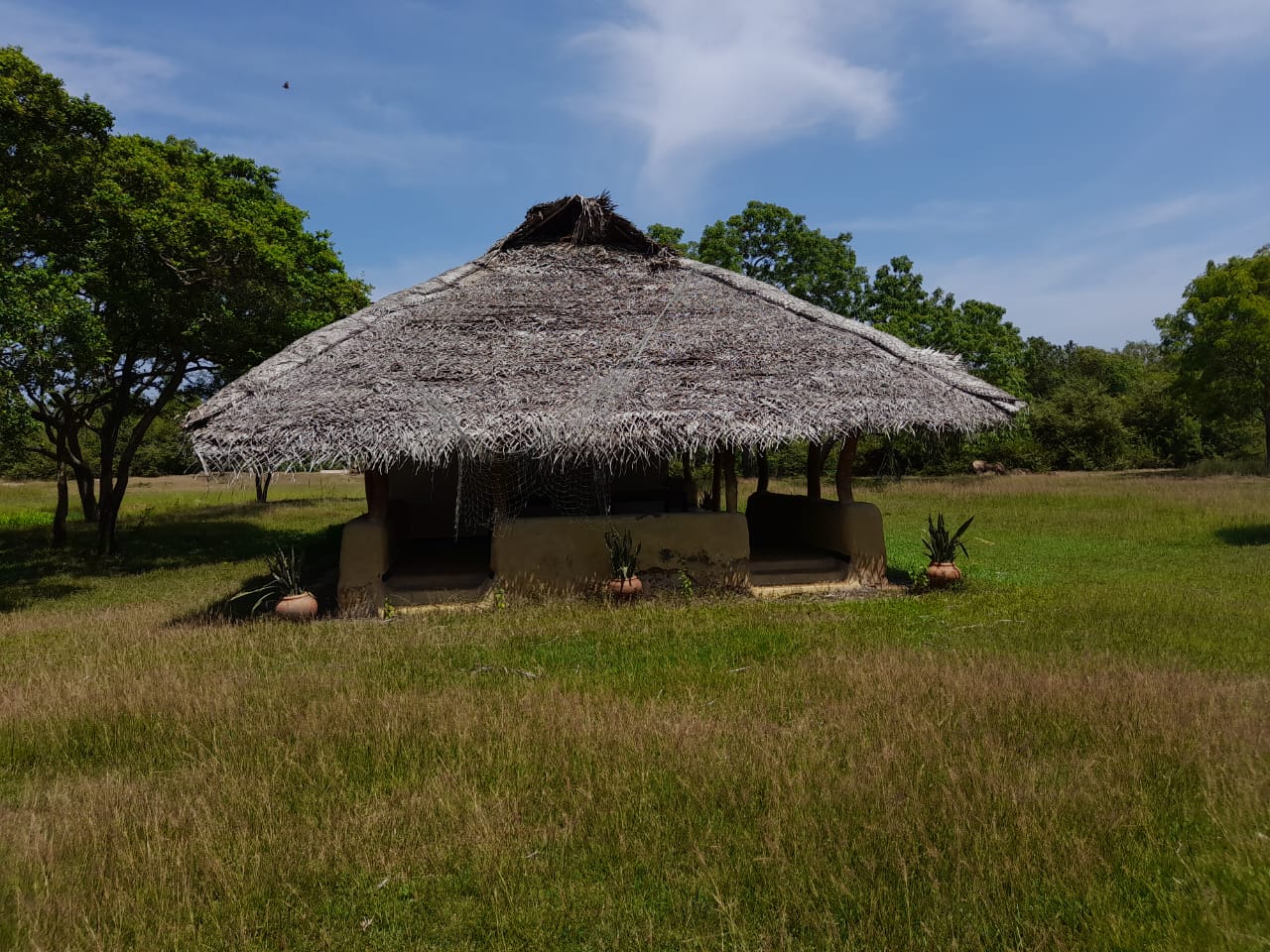 Custom Lanka Tours team providing professional tour guide services in Sri Lanka