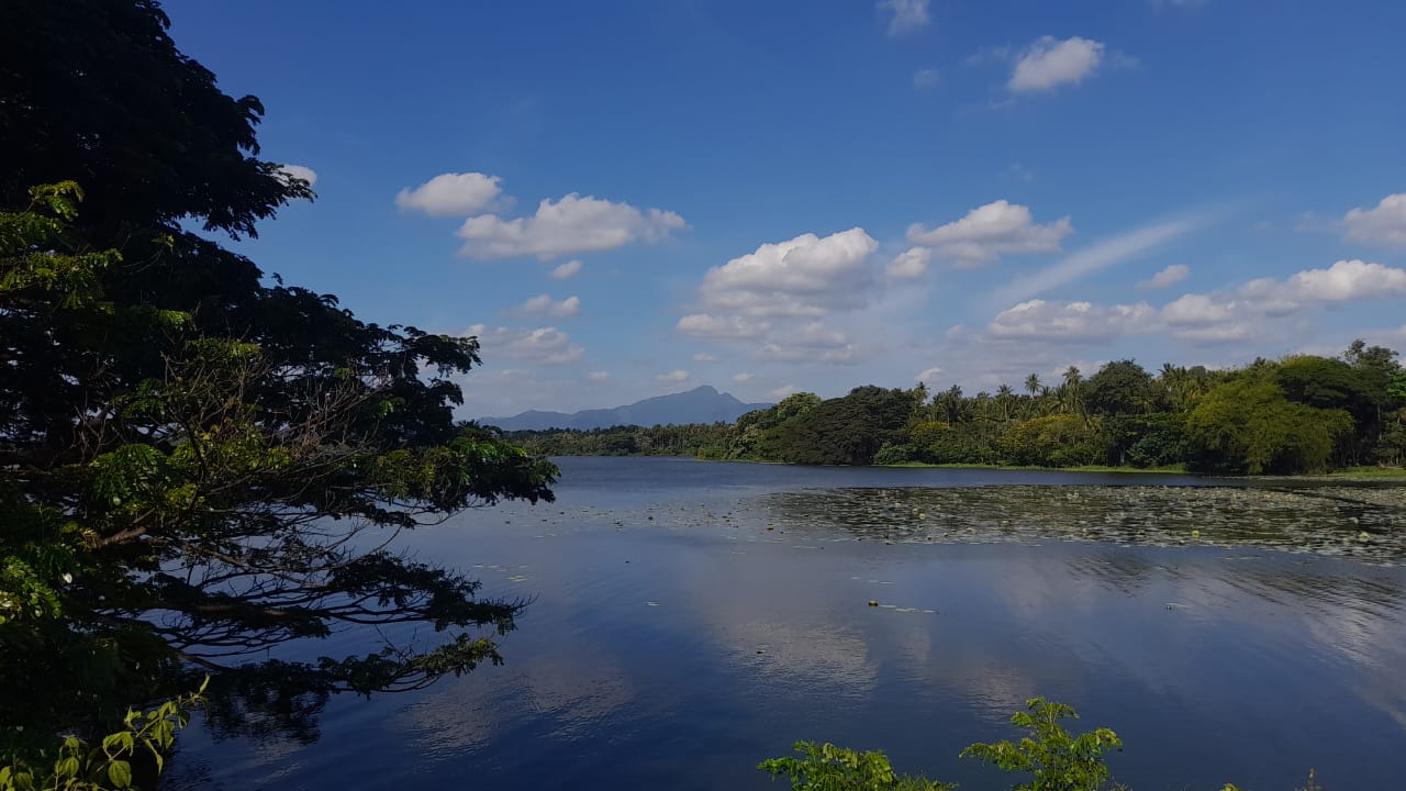 Beautiful Sri Lankan landscape