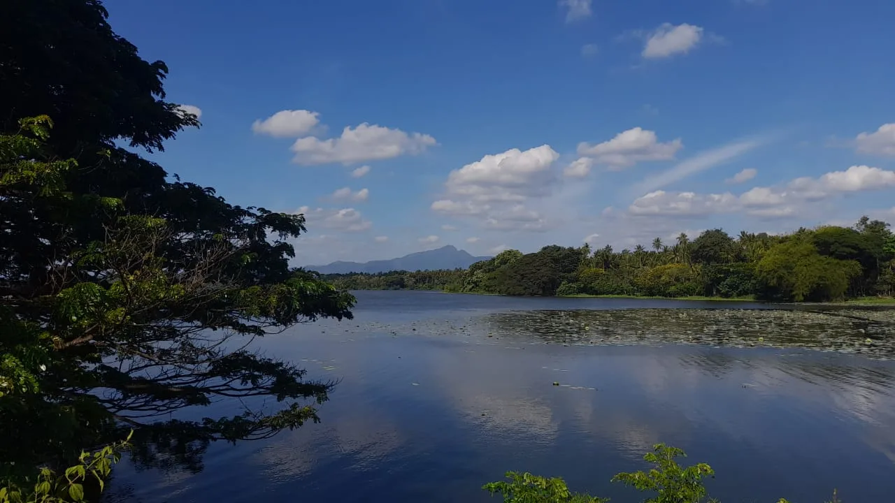 Beautiful Sri Lankan landscape